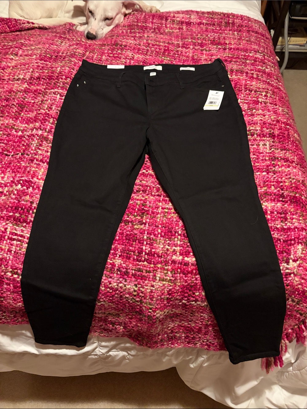 Skinnygirl jeans, black NWT sz 18W